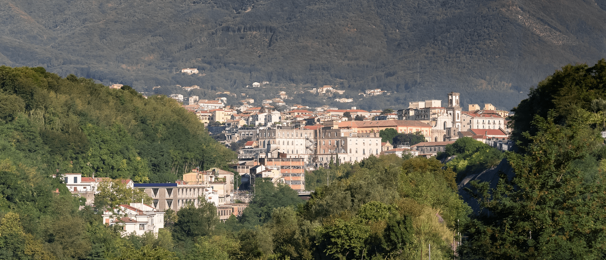 cava terrin